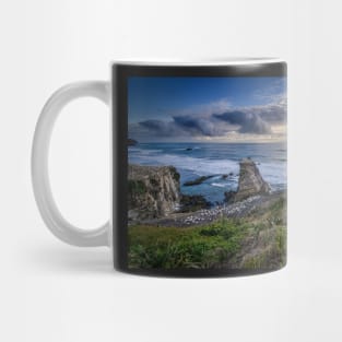 Muriwai (4) Mug